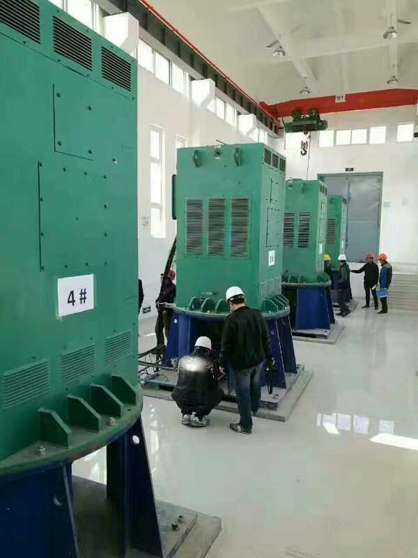 婺城某污水处理厂使用我厂的立式高压电机安装现场