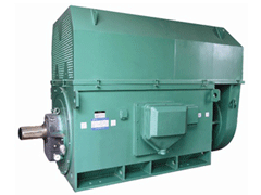 婺城Y系列6KV高压电机